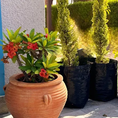 Beautiful 1 Bedroom 600 Meters From The Sea Venus Paphos